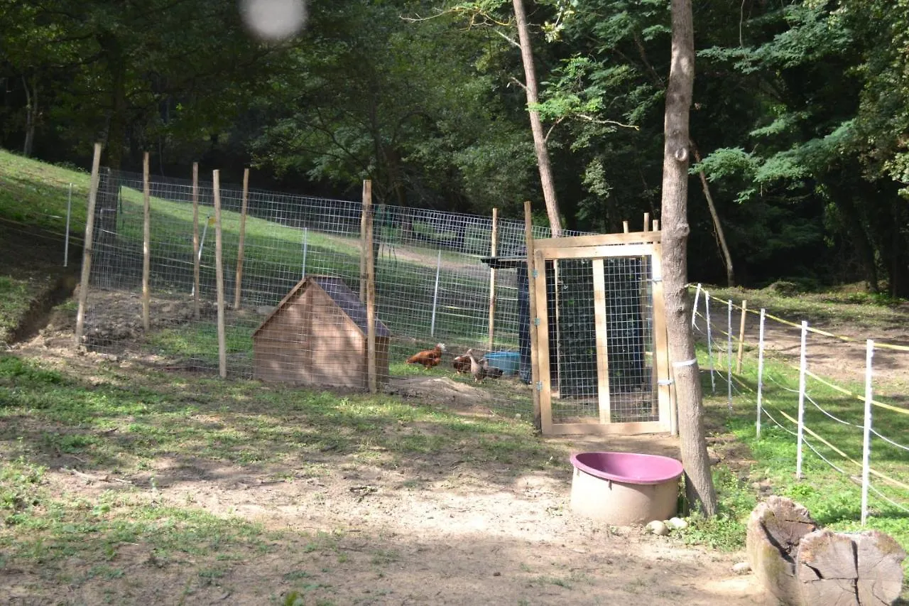 Il Giaggiolo Villa Reggello Farm stay
