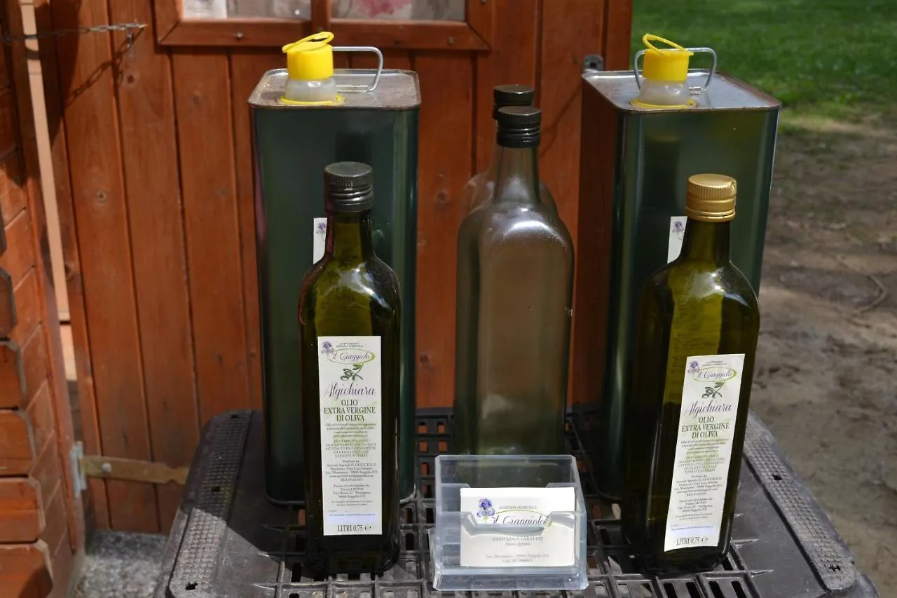 Farm stay Il Giaggiolo Villa Reggello