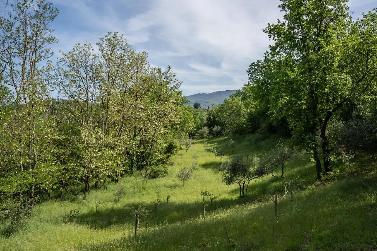 Il Giaggiolo Villa Reggello